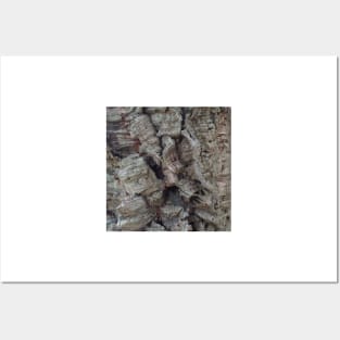 Cork Oak Tree Bark Texture 5 Posters and Art